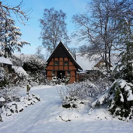Holiday home Backspieker Back *