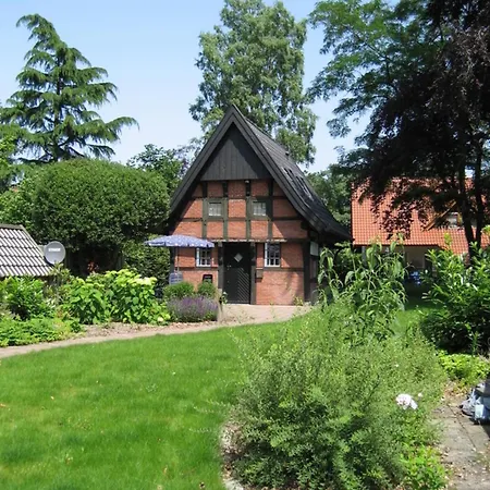 Backspieker Back Sögel